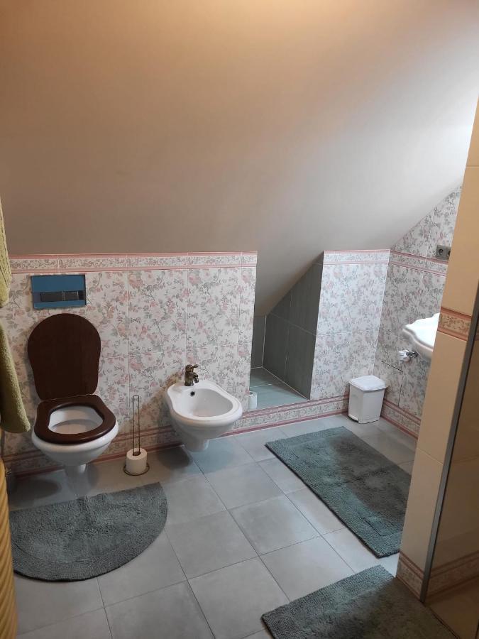 Roof Apartment Ztracena ออลอโมตซ์ ภายนอก รูปภาพ